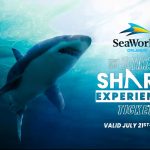 Attention Shark Fin-atics: Explore the Ultimate Shark Experience at SeaWorld Orlando and Support Ocean Conservation