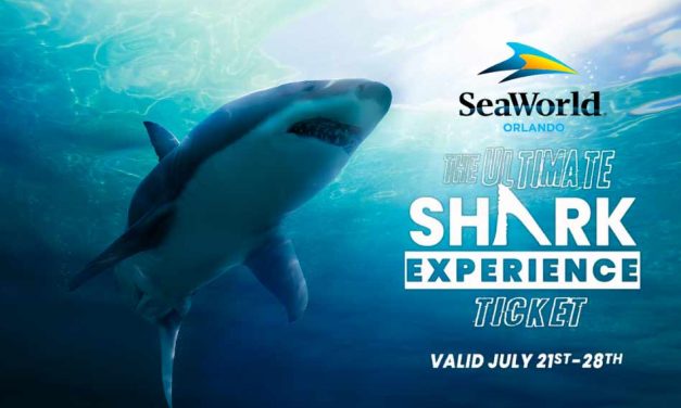 Attention Shark Fin-atics: Explore the Ultimate Shark Experience at SeaWorld Orlando and Support Ocean Conservation