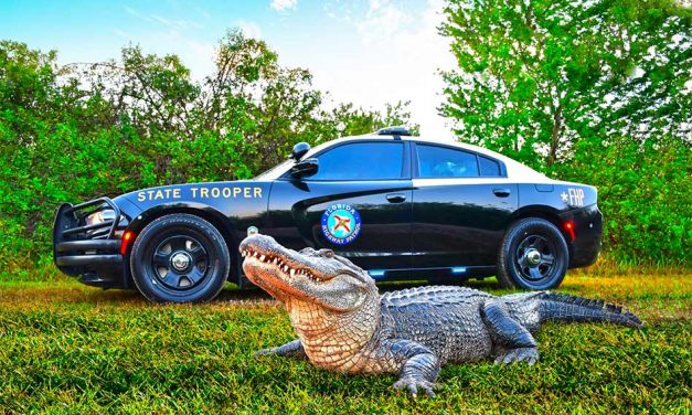 Last Chance to Vote for FHP’s Cruiser Today, July 31 by Noon in the National ‘Best Looking Cruiser’ Contest