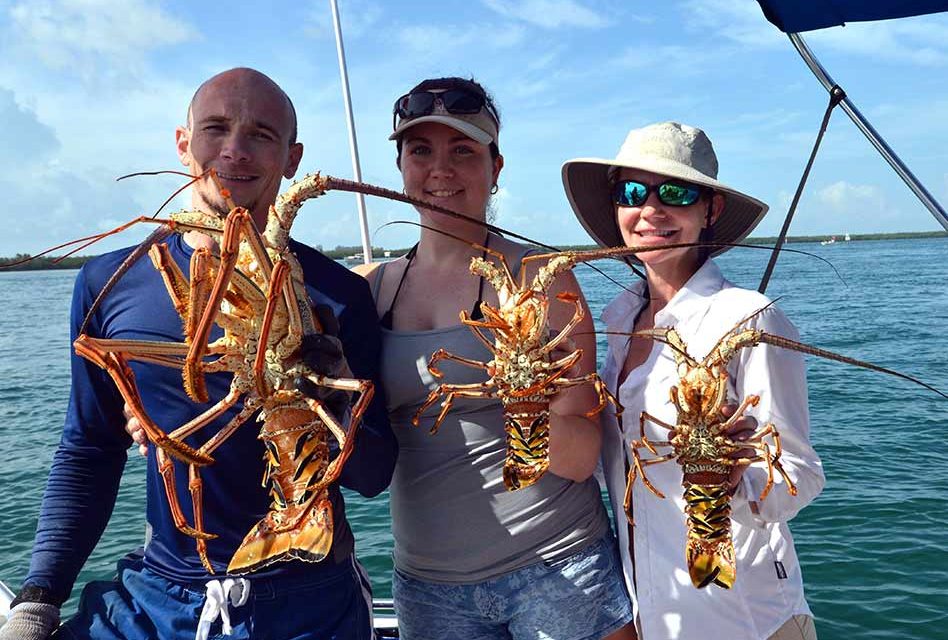Florida spiny lobster seasons starts this week!