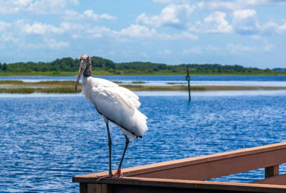 Osceola County Weather The Heat and Afternoon Storms Continue Thursday