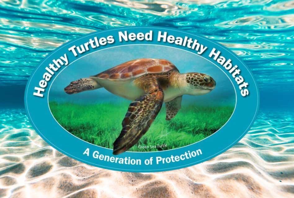Help ensure Florida’s manatees and sea turtles have access to clean and healthy habitats with new decals from the FWC