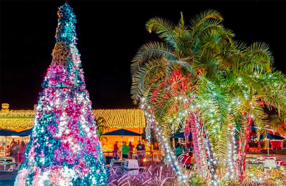 All-New “Holiday Nights” Light Spectacular at Island H2O Water Park Begins Nov. 8, portion of proceeds to Give Kids The World