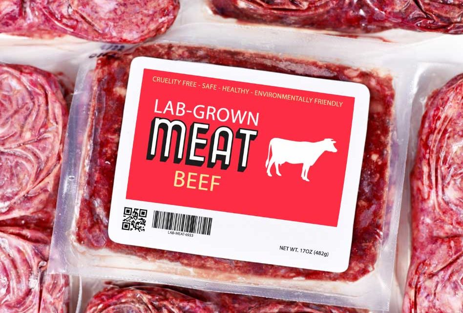 Would you eat lab-grown meat? Leading cultivated meat manufacturer Meatable is banking that the answer is yes!