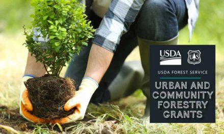 Shaping a Greener Tomorrow: Osceola County Receives $2.25 Million Urban Forestry Grant