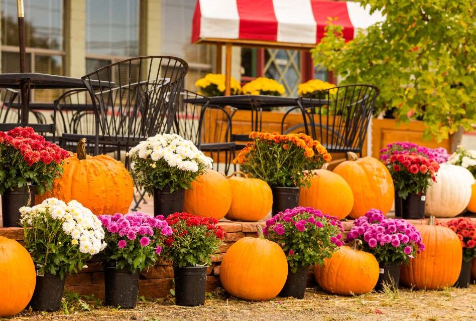 Osceola County Weather Sunny, warm, and a dry week ahead for Osceola