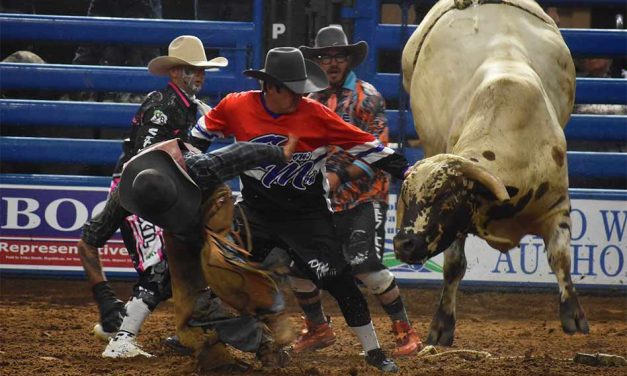 Silver Spurs Arena Hosts Sold-Out Rodeo Spectacle: Boots, Bulls, and Barrels Returns in Style on the Dirt