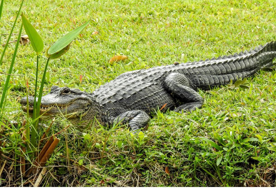 Osceola County Weather It's a cloudy, drizzly, and breezy start to the