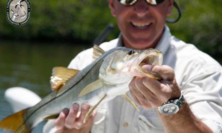 FWC Announces Updated Snook Fishing Rules for 2024