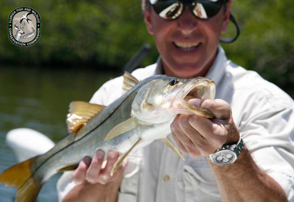 FWC Announces Updated Snook Fishing Rules for 2024