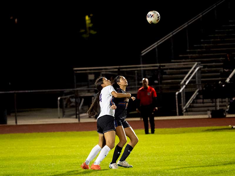 longhorns1 Harmony Longhorns