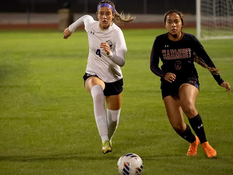 longhorns2 Harmony Longhorns 2