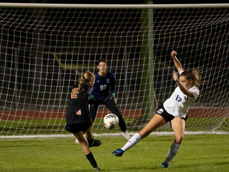 longhorns3 Harmony Longhorns