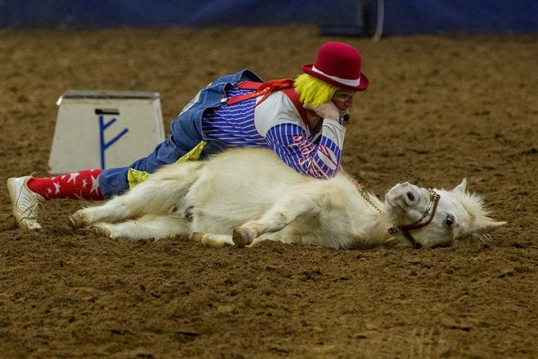 81 Years of Tradition Continues: Silver Spurs Rodeo, Monster Bulls ...