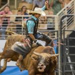 Saddle Up for the 153rd Silver Spurs Rodeo: Heart-Pounding Action Awaits With Two Unforgettable Nights of Rodeo Fun!