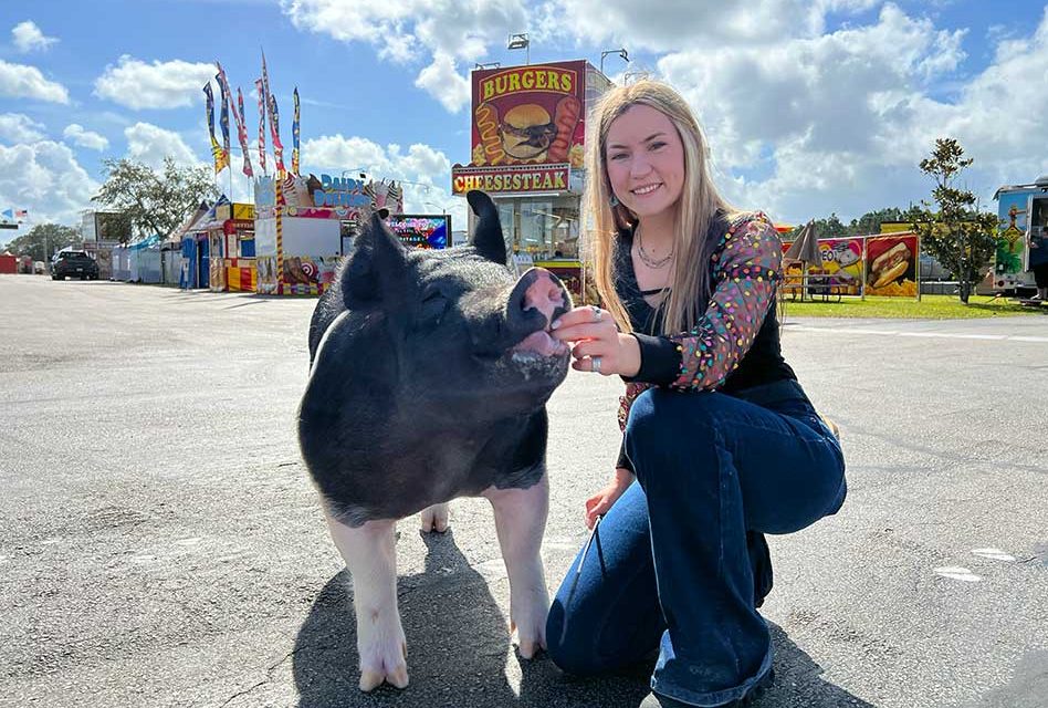 The Essence and Evolution of County Fairs in America and the Legacy of the Osceola County Fair