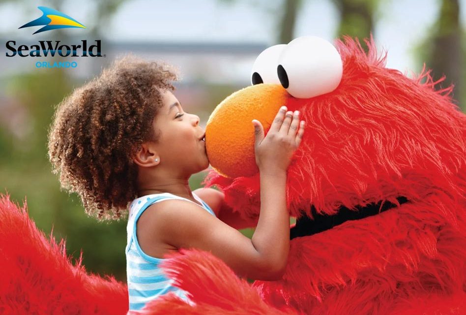 Elmo’s Magical Day: A Birthday Bash at SeaWorld Orlando