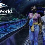 Behind the Scenes at SeaWorld: Inspiring Stories of Animal Care and Rescue