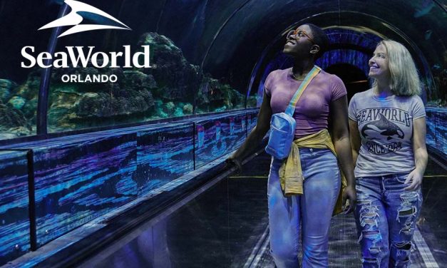 Behind the Scenes at SeaWorld: Inspiring Stories of Animal Care and Rescue