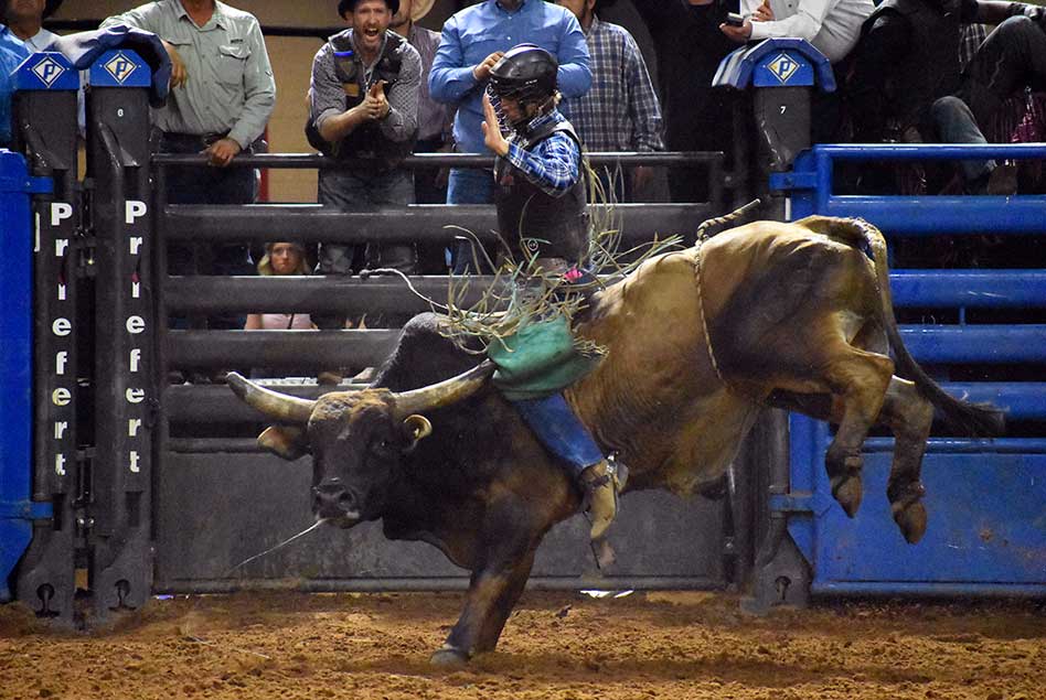 Monster Bulls to Bring Extreme Rodeo Action to the Silver Spurs Arena Saturday February 15