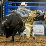 Bucking Broncs and Bulls to Barrel Racing: 80 Years of Silver Spurs Rodeo Legacy to Hit the Dirt Again in Osceola County
