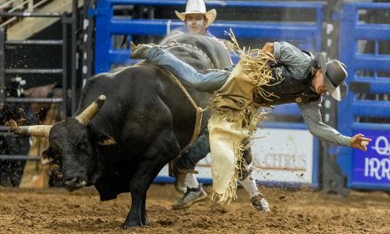Bucking Broncs and Bulls to Barrel Racing: 80 Years of Silver Spurs Rodeo Legacy to Hit the Dirt Again in Osceola County