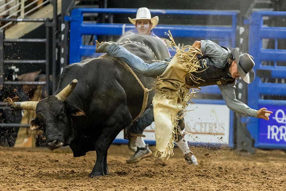 Bucking Broncs and Bulls to Barrel Racing: 80 Years of Silver Spurs Rodeo Legacy to Hit the Dirt Again in Osceola County