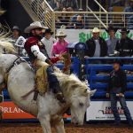 Celebrating Tradition and Community for 80 Years: The 152nd Silver Spurs Rodeo, Here are the Results!