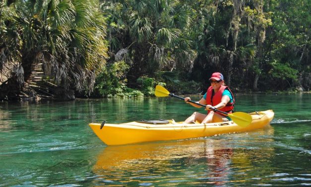 Florida Leads as the Premier Destination in AAA’s Spring Break Travel Trends