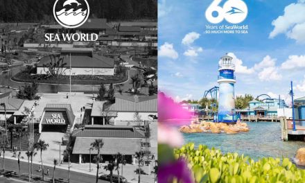 A Splash Through Time: SeaWorld’s Monumental 60th Year Festivities Begin March 21st!