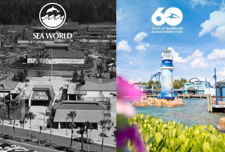 A Splash Through Time: SeaWorld’s Monumental 60th Year Festivities Begin March 21st!