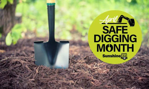 Celebrate Safe Digging Month This April: Dig Safe & Smart, Florida