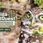 Embark on a Wild Journey: Florida Fish and Wildlife’s WildQuest Scavenger Hunt Now Open