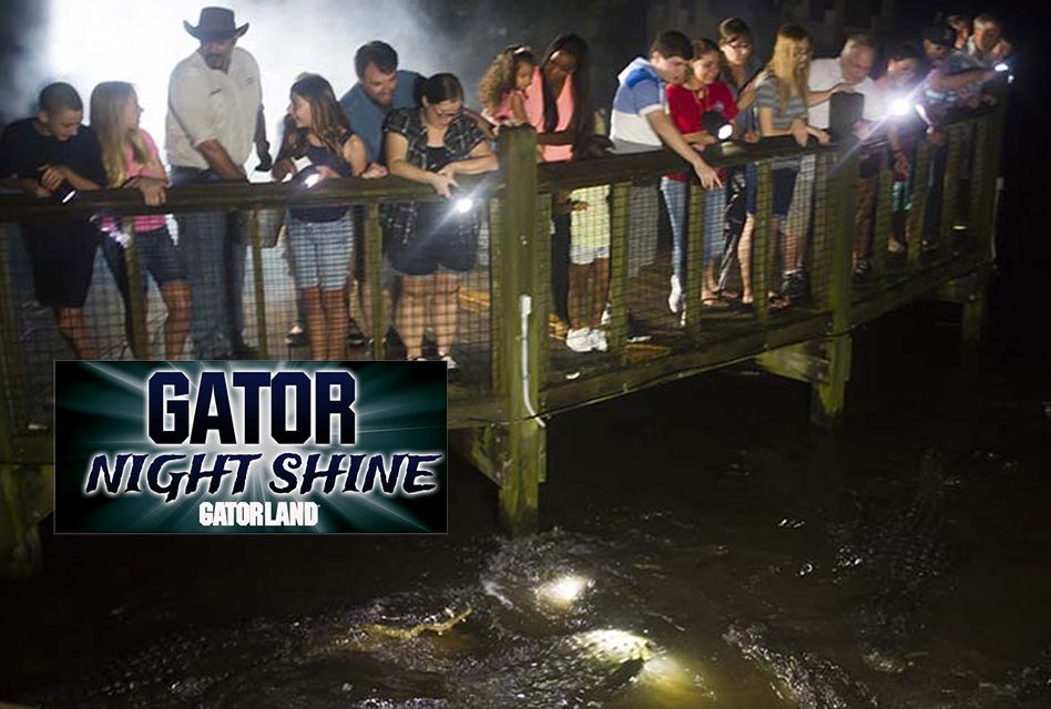 Nightfall Predators: Experience the Gator Night Shine for a Wild Adventure at Gatorland