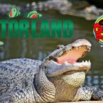 Gatorland, Central Florida’s First Attraction Kicks Off Historic 75th Anniversary