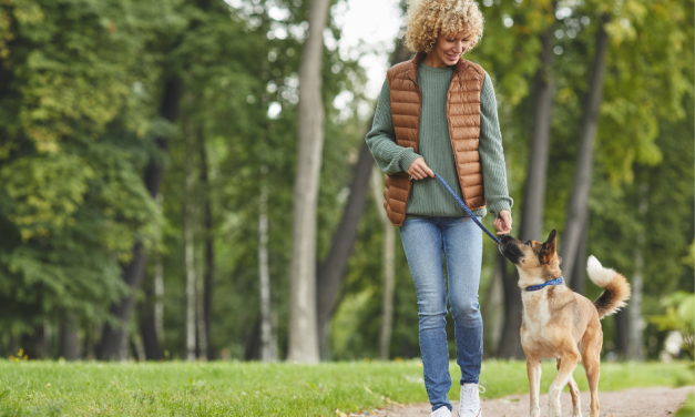 Orlando Health: Prevent Dog-Walking Injuries with These Tips