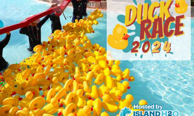 Ducks Ahoy! Join the Duck-tastic Race at Island H2O on June 1st