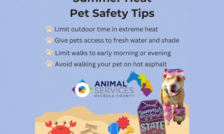 Hot Weather Tips for Pets from Osceola County Animal Services