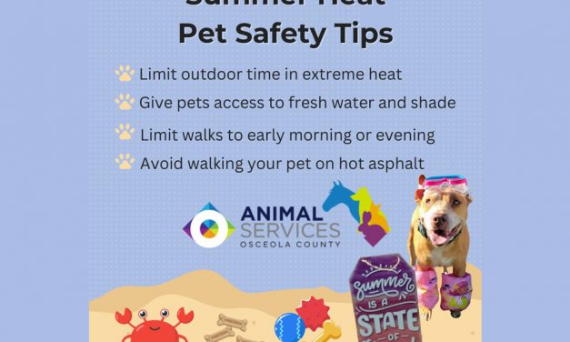 Hot Weather Tips for Pets from Osceola County Animal Services