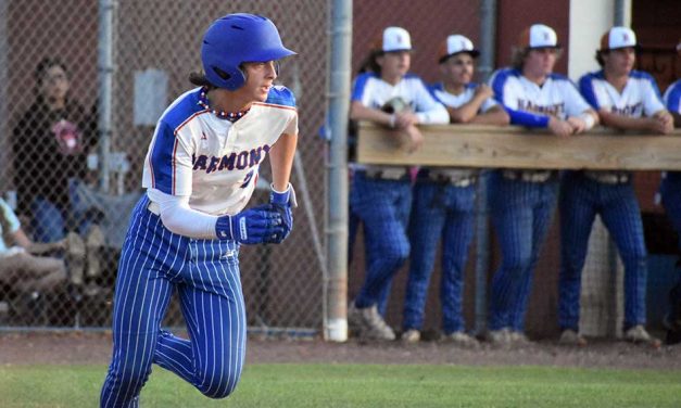 Harmony Longhorns’ Remarkable Journey Ends Just Shy of State Final Four in Boys Baseball