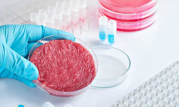 Florida Governor Ron DeSantis Signs Legislation to Become First State to Ban Lab-Grown Meat