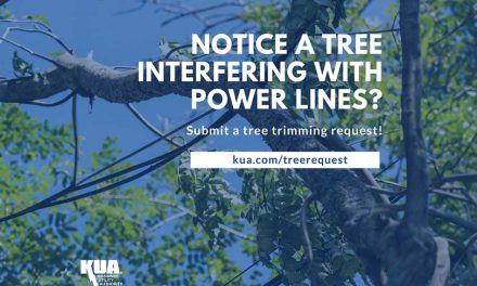 Prepare for Hurricane Season: Ensure Safe Power Lines with KUA’s Tree Trimming Service