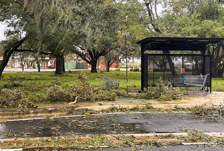 Yard Debris Collection in St. Cloud Post-Hurricane Milton to Begin Today, Other Recovery Services Available