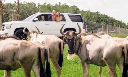 Wild Florida Cares Makes a Positive Impact Through Conservation, Community Support and Scholarships