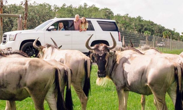 Wild Florida Cares Makes a Positive Impact Through Conservation, Community Support and Scholarships