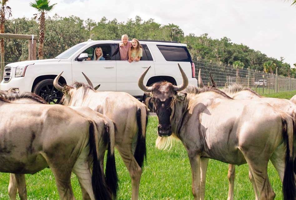 Wild Florida Cares Makes a Positive Impact Through Conservation, Community Support and Scholarships