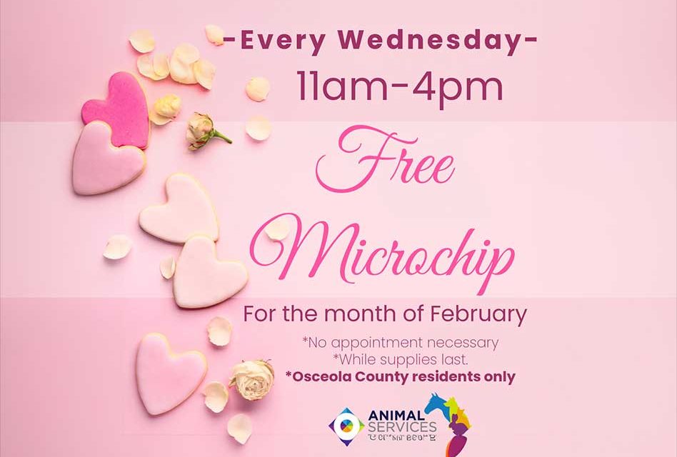 Osceola County Offers Free Microchipping for Pets Every Wednesday in February