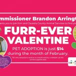 Bringing Love Home: $14 Pet Adoptions Available in Osceola County During February!