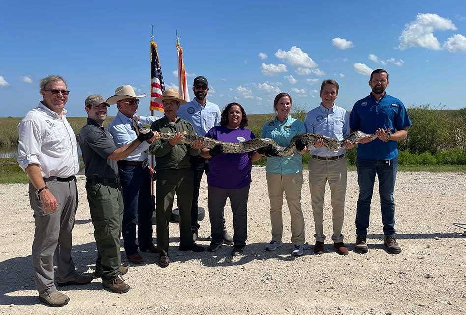 2025 Florida Python Challenge Kicks Off with New Everglades National Park Location and $25,000 in Cash Prizes
