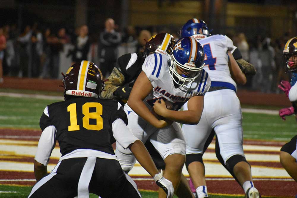 DawgsHorns2 Bulldogs Win The Game